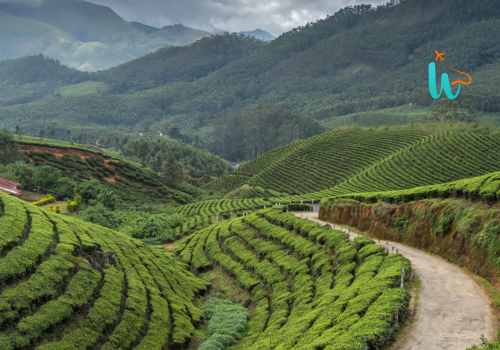 Munnar Kerala